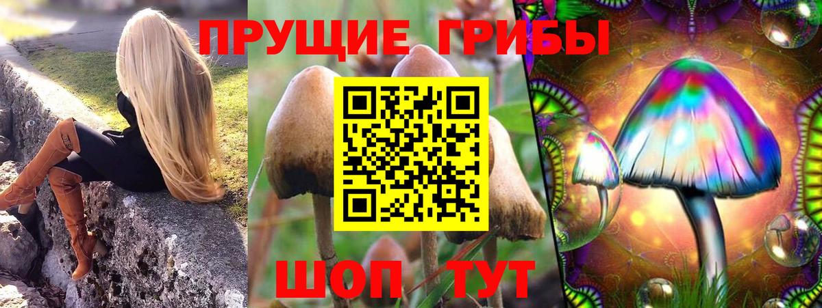 Псилоцибиновые грибы Magic Shrooms Ахтубинск