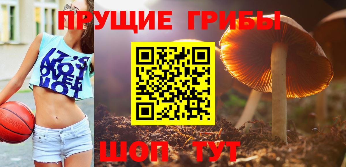 Псилоцибиновые грибы Psilocybine cubensis  Вход с VPN  Ахтубинск 